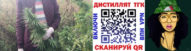 ТГК концентрат  Александров 